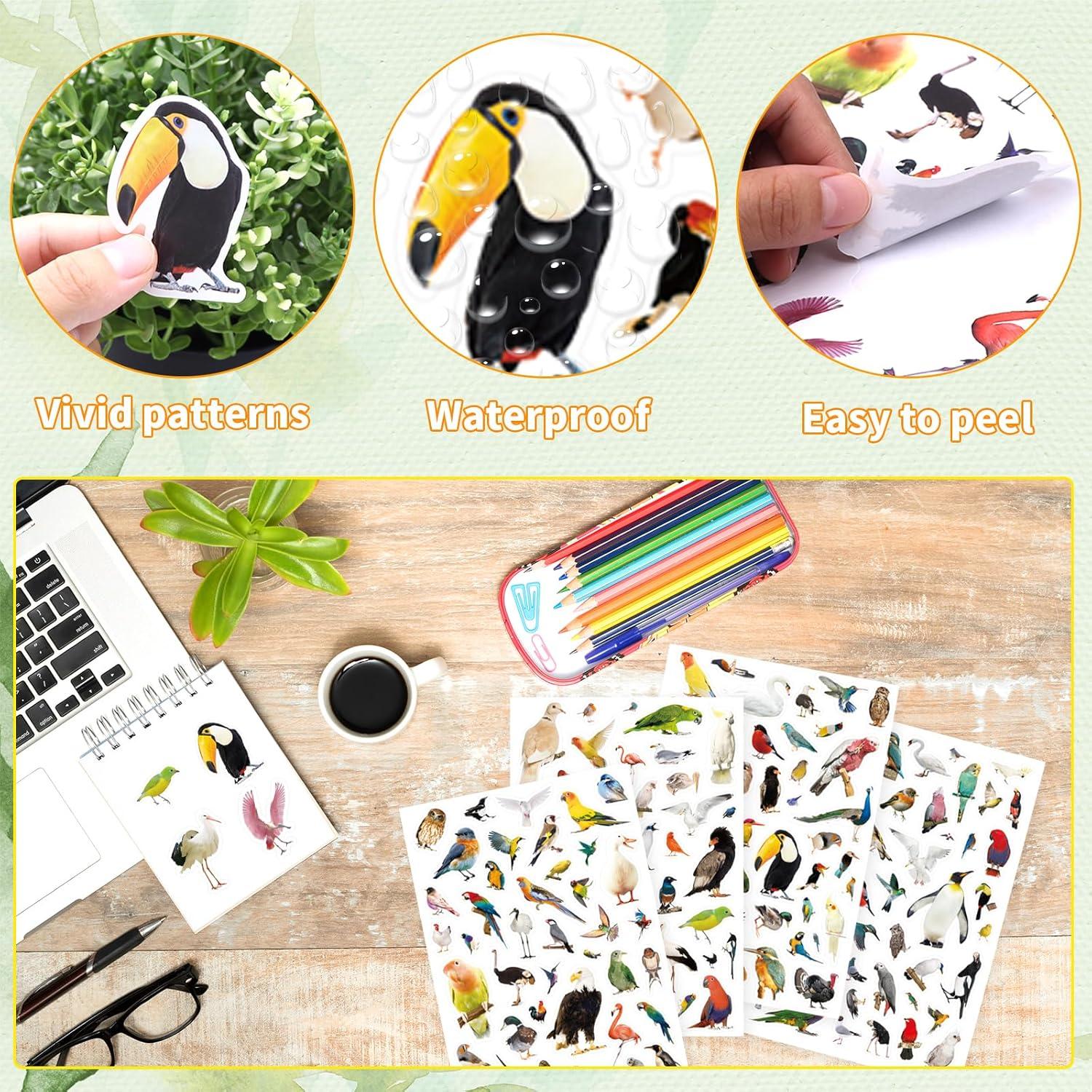 Pegatinas de Aves Genérico 850 Piezas Tropicales