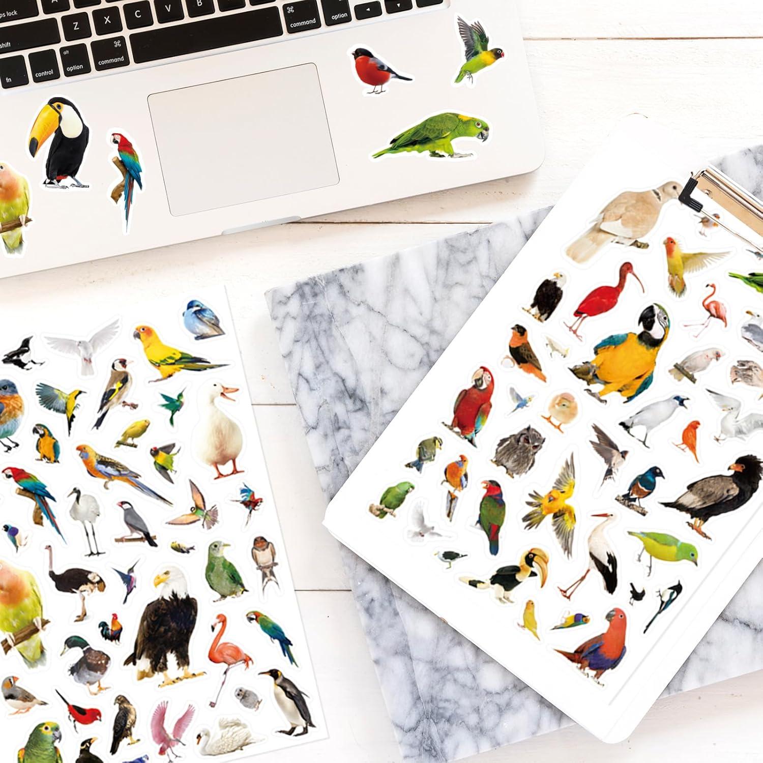 Pegatinas de Aves Genérico 850 Piezas Tropicales