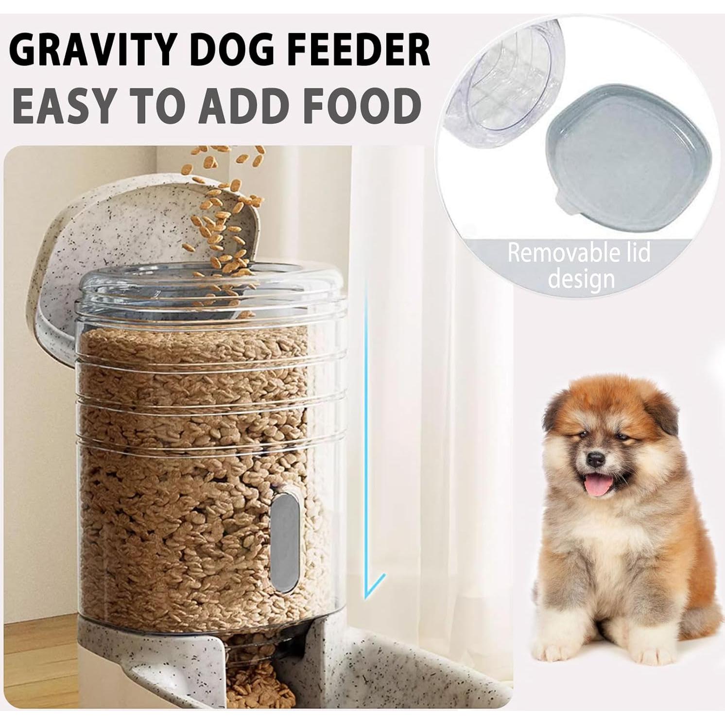 Dispensador automático de comida para perros Kathson 3.8L