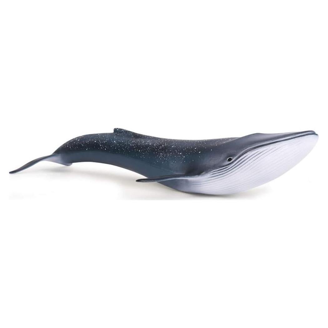 Figura de Ballena Azul EOIVSH Juguete Educativo 26.9 cm