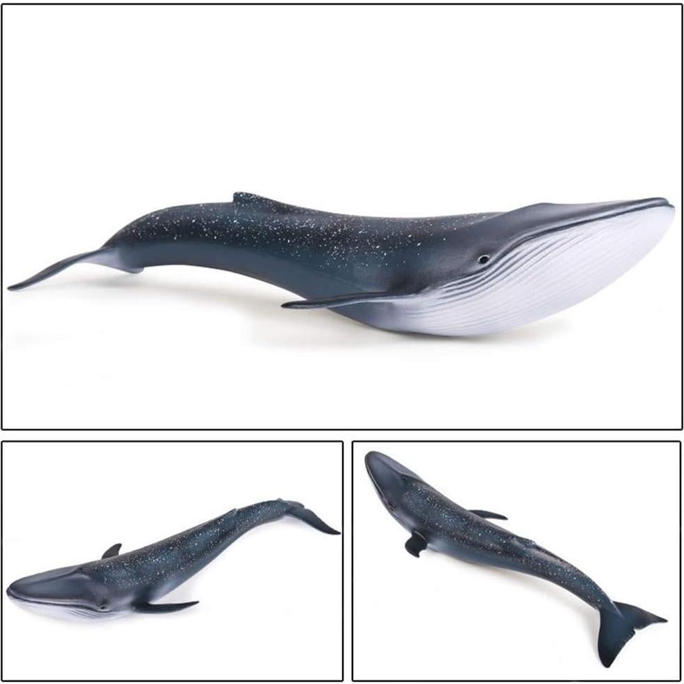 Figura de Ballena Azul EOIVSH Juguete Educativo 26.9 cm