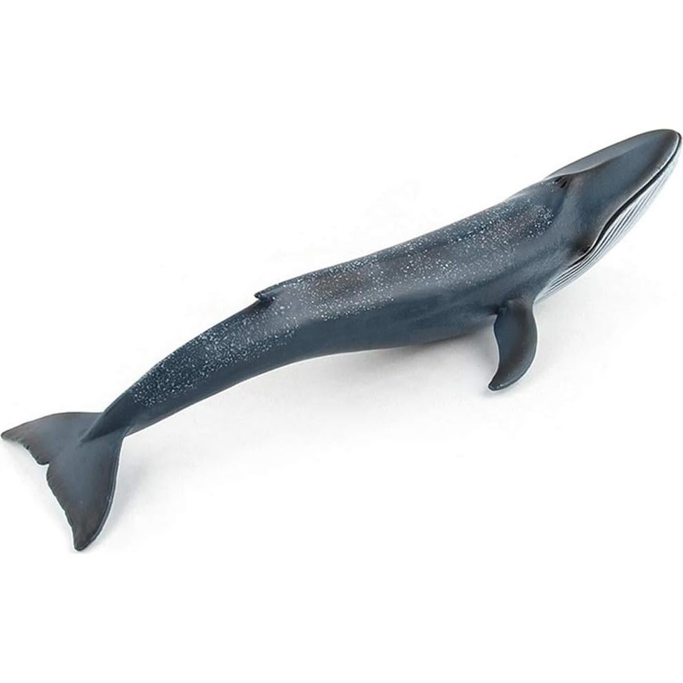Figura de Ballena Azul EOIVSH Juguete Educativo 26.9 cm
