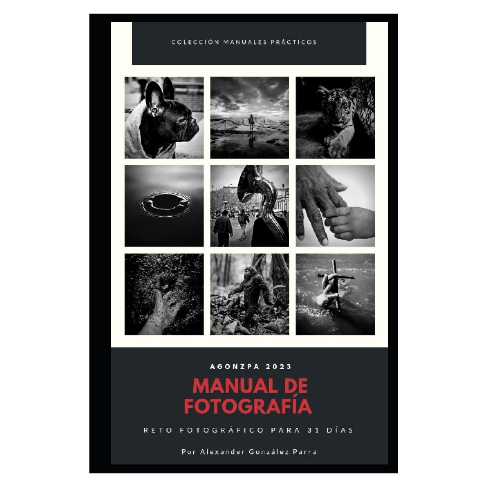 MANUAL DE FOTOGRAFÍA: Reto Fotográfico de 31 días (Manuales prácticos) (Spanish Edition)