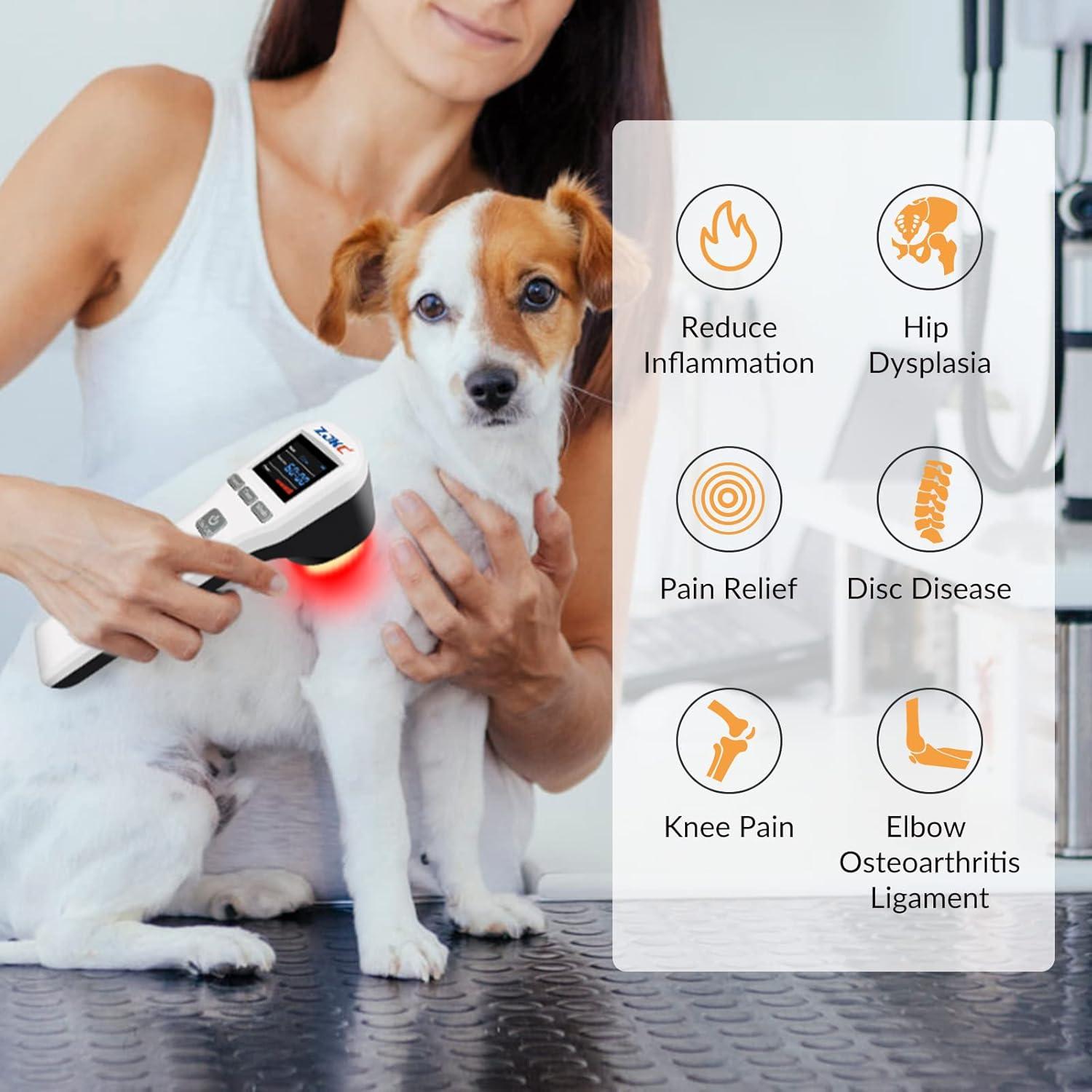Terapia con Láser Frío ZJKC para Mascotas 4x808nm 16x650nm
