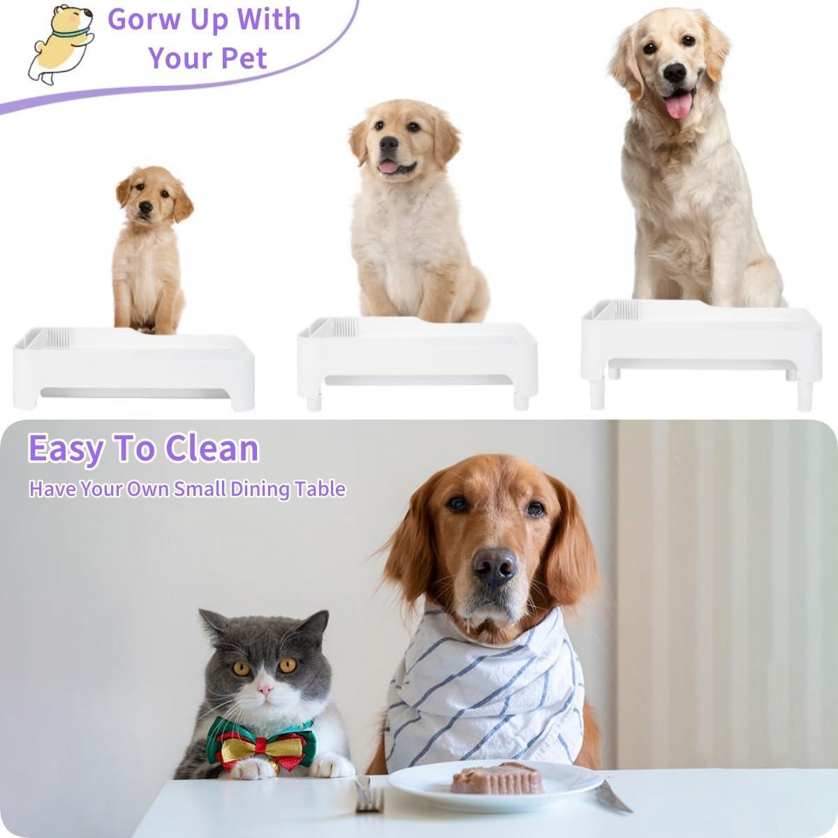 Soporte Elevado para Comedero de Gatos BEBOBLY Ajustable