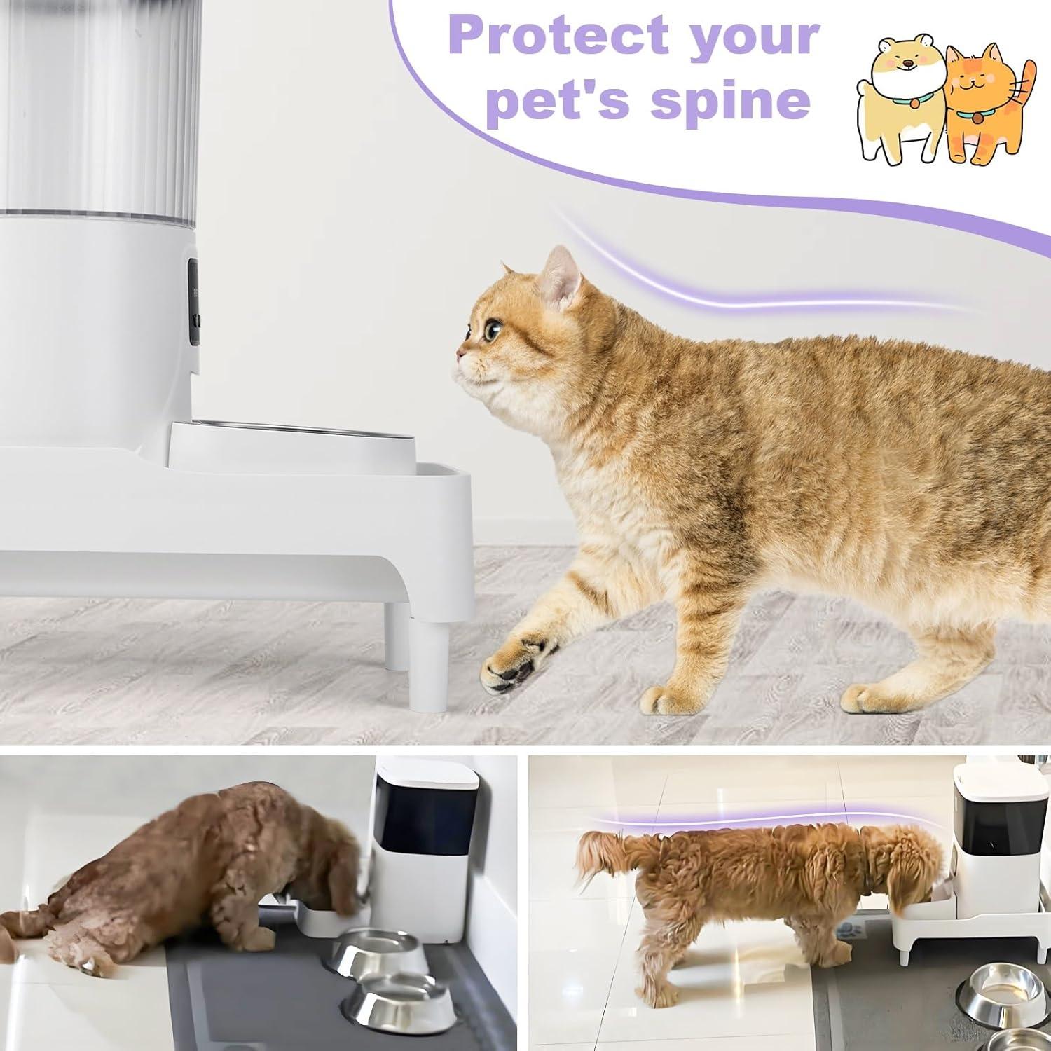 Soporte Elevado para Comedero de Gatos BEBOBLY Ajustable