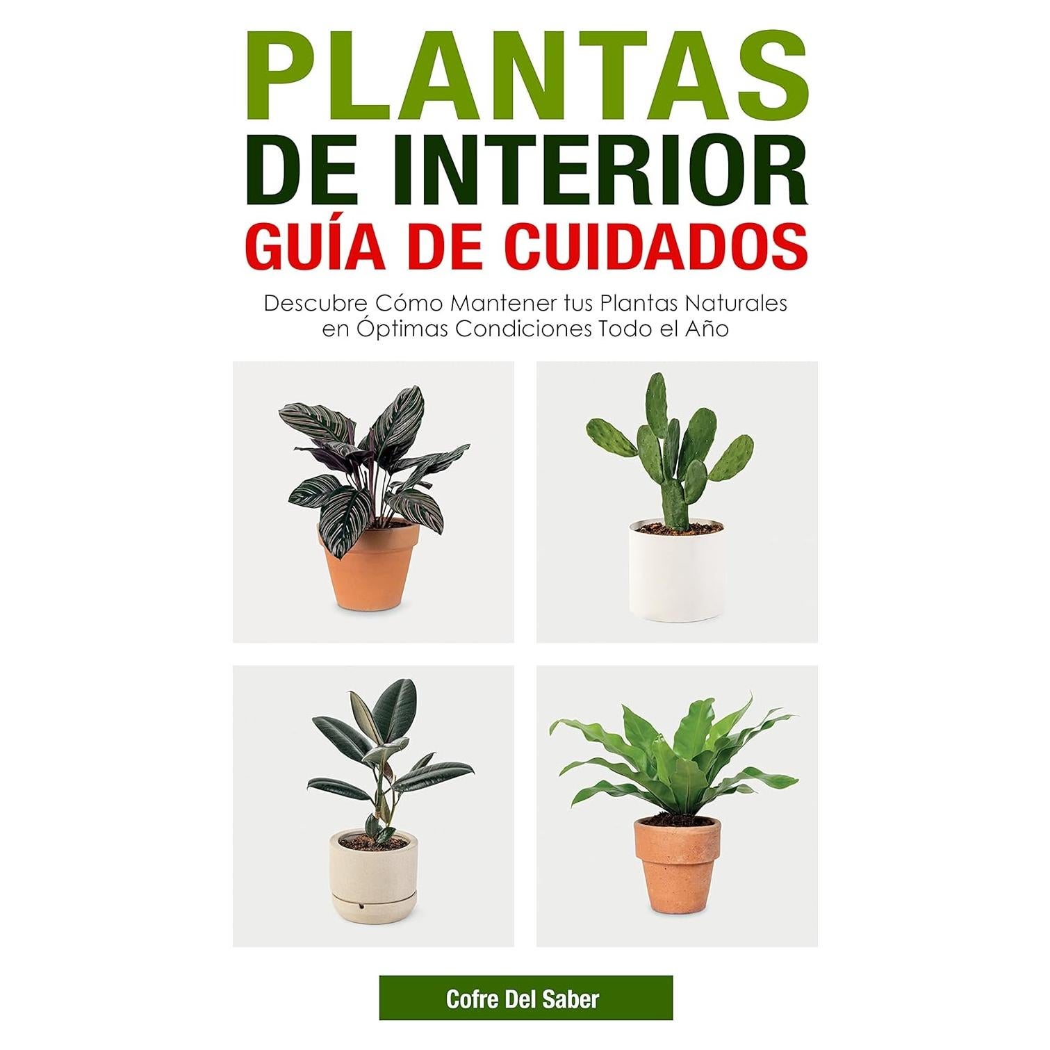 Plantas de Interior Guía de Cuidados: Descubre Cómo Mantener tus Plantas Naturales en Óptimas Condiciones Todo el Año (Spanish Edition)