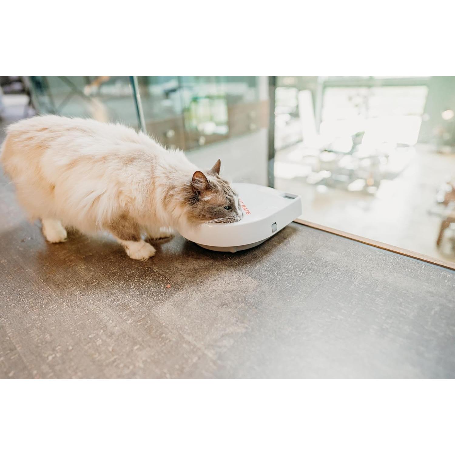 Comedero Automático Cat Mate C300 para Perros y Gatos