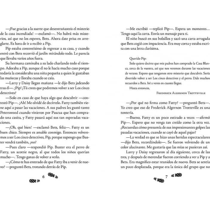 Los cinco detectives 2 - Misterio del gato desaparecido