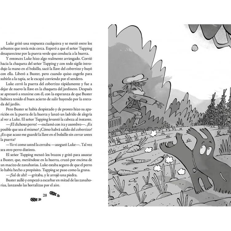 Los cinco detectives 2 - Misterio del gato desaparecido