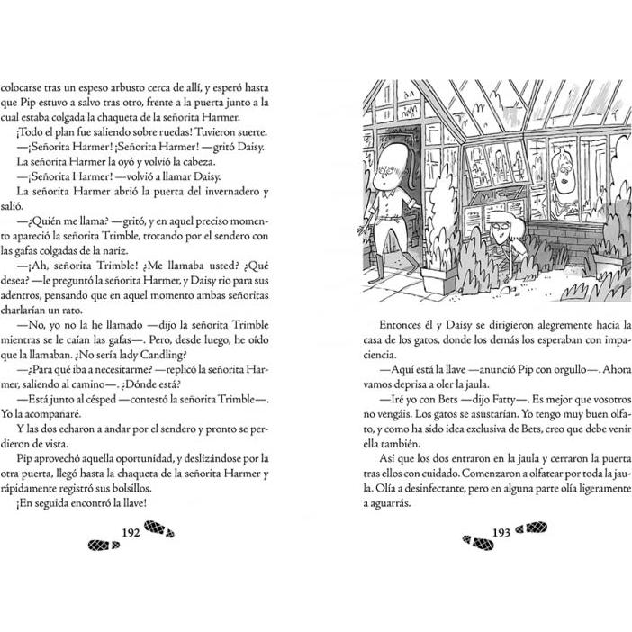 Los cinco detectives 2 - Misterio del gato desaparecido