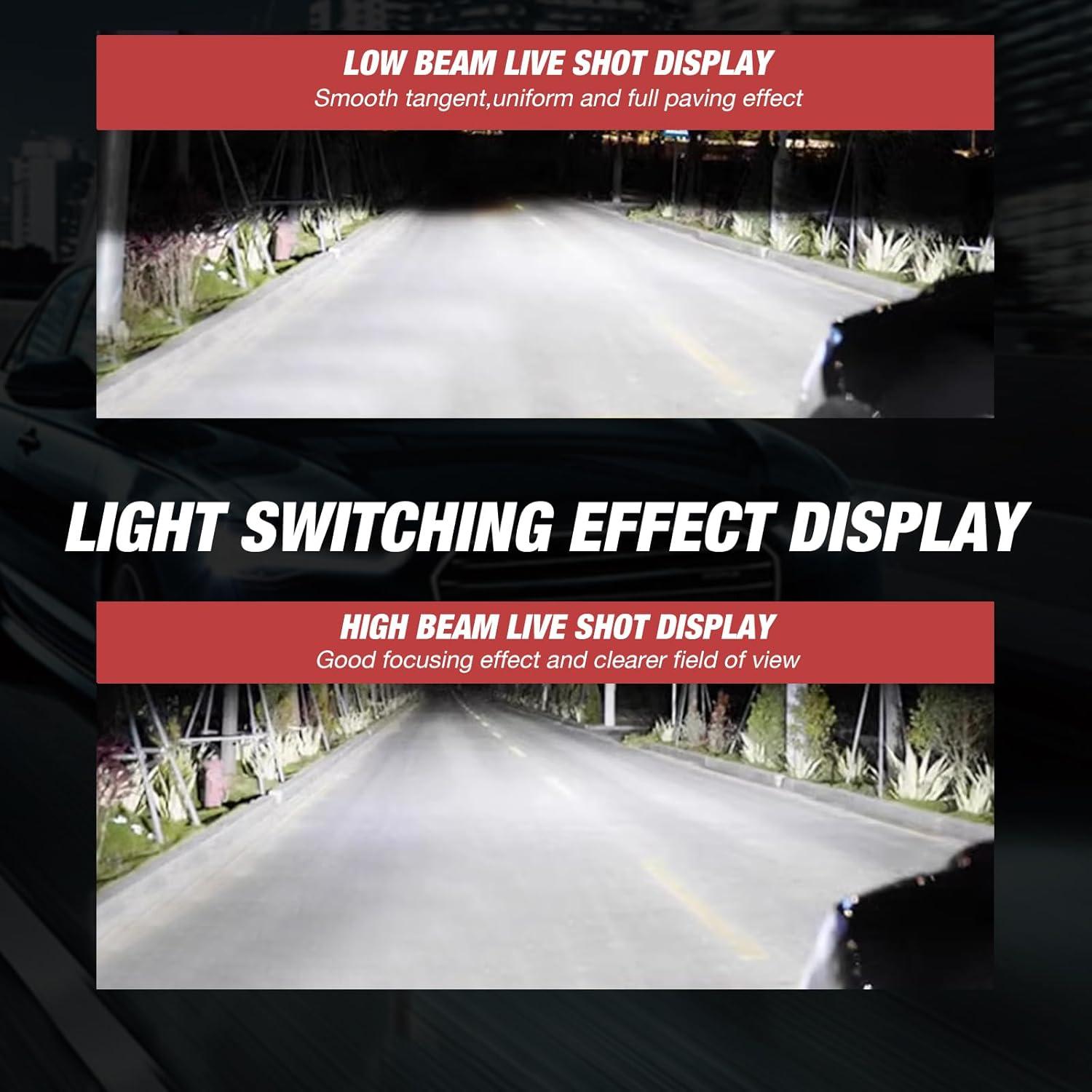 Bombillas Halógenas Fasebeek 9005 12V 55W 2 PCS Luz Niebla