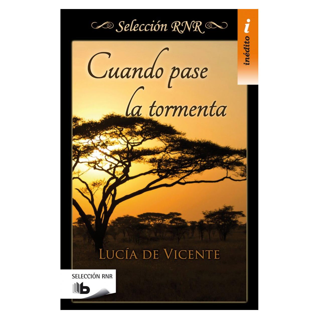 Cuando pase la tormenta (Spanish Edition)