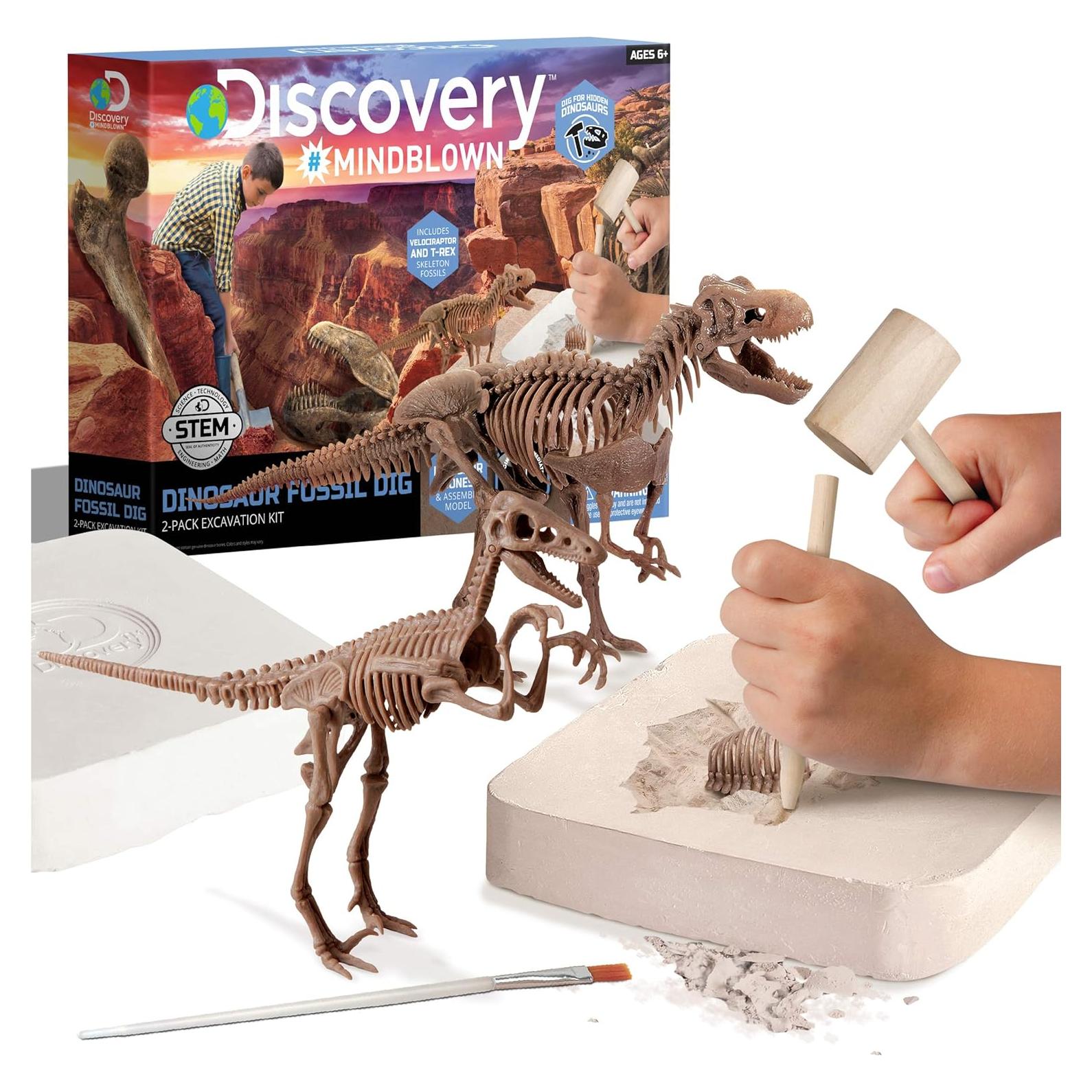 Kit de Excavación de Dinosaurios Discovery 15 Piezas