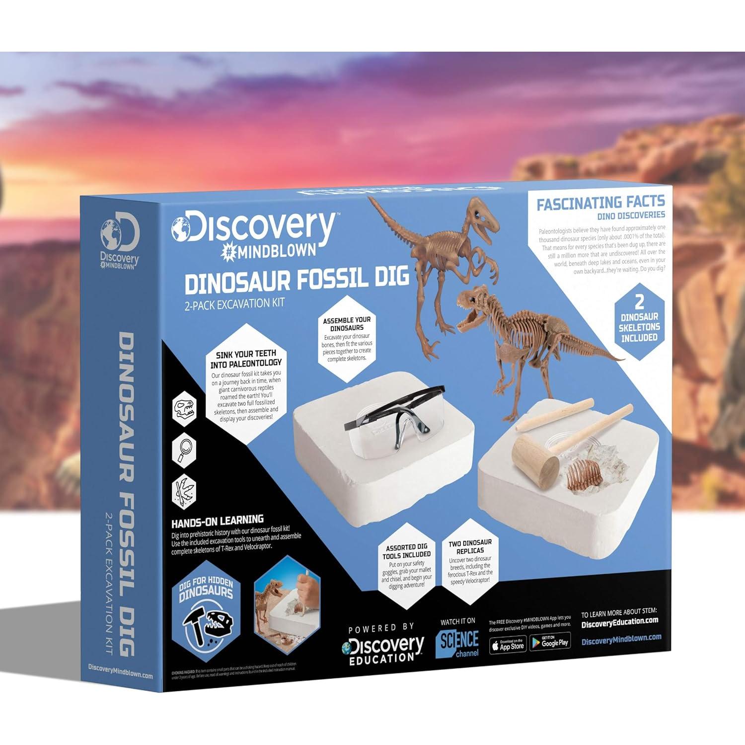 Kit de Excavación de Dinosaurios Discovery 15 Piezas