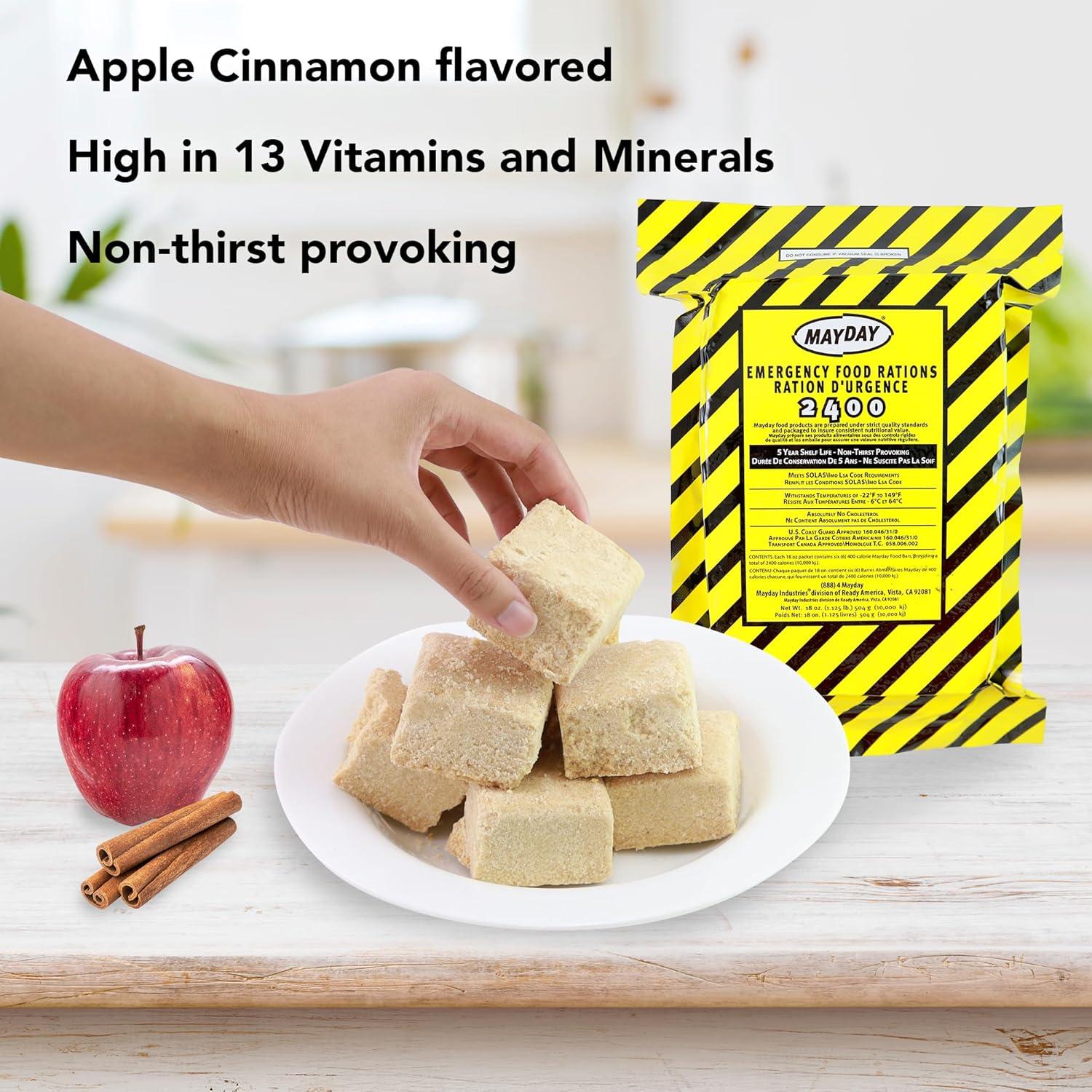 Kit de Emergencia Ready America para 1 Persona 3 Días