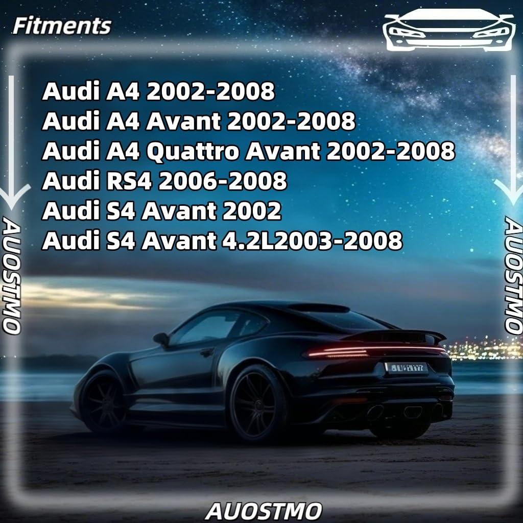 30 Clips de Panel de Recorte Interior AUOSTMO para Volkswagen y Audi