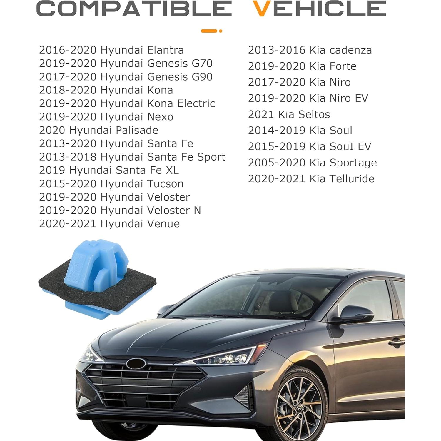 30 Clips de Retención de Moldura de Rocker SCUARI 87756-1F000