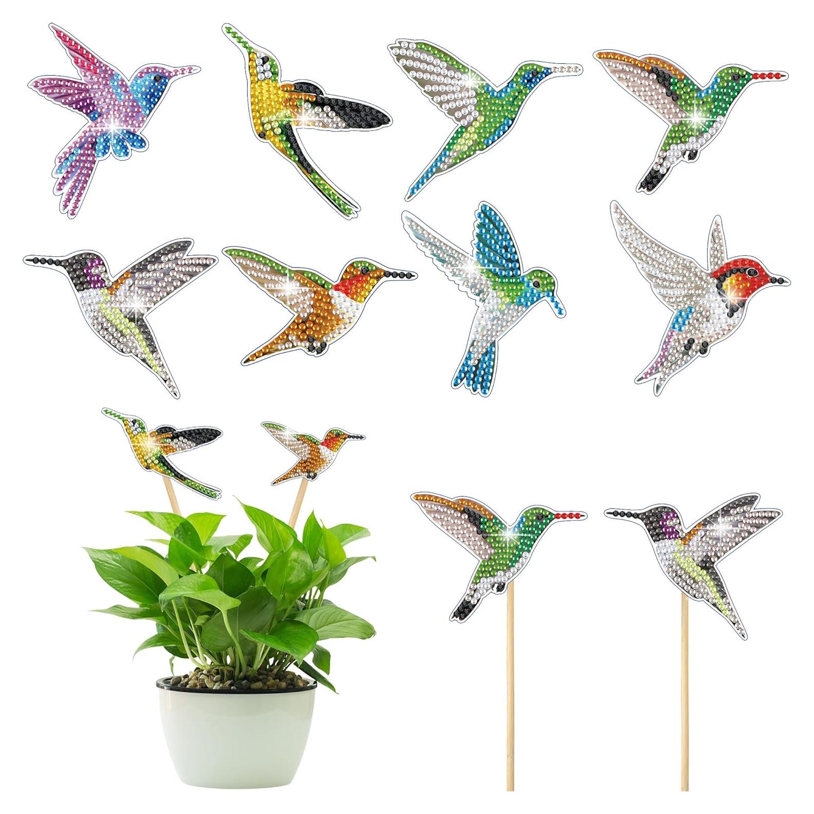 Kits de Pintura de Diamantes Vcekract 8 Pcs Jardín Colibrí
