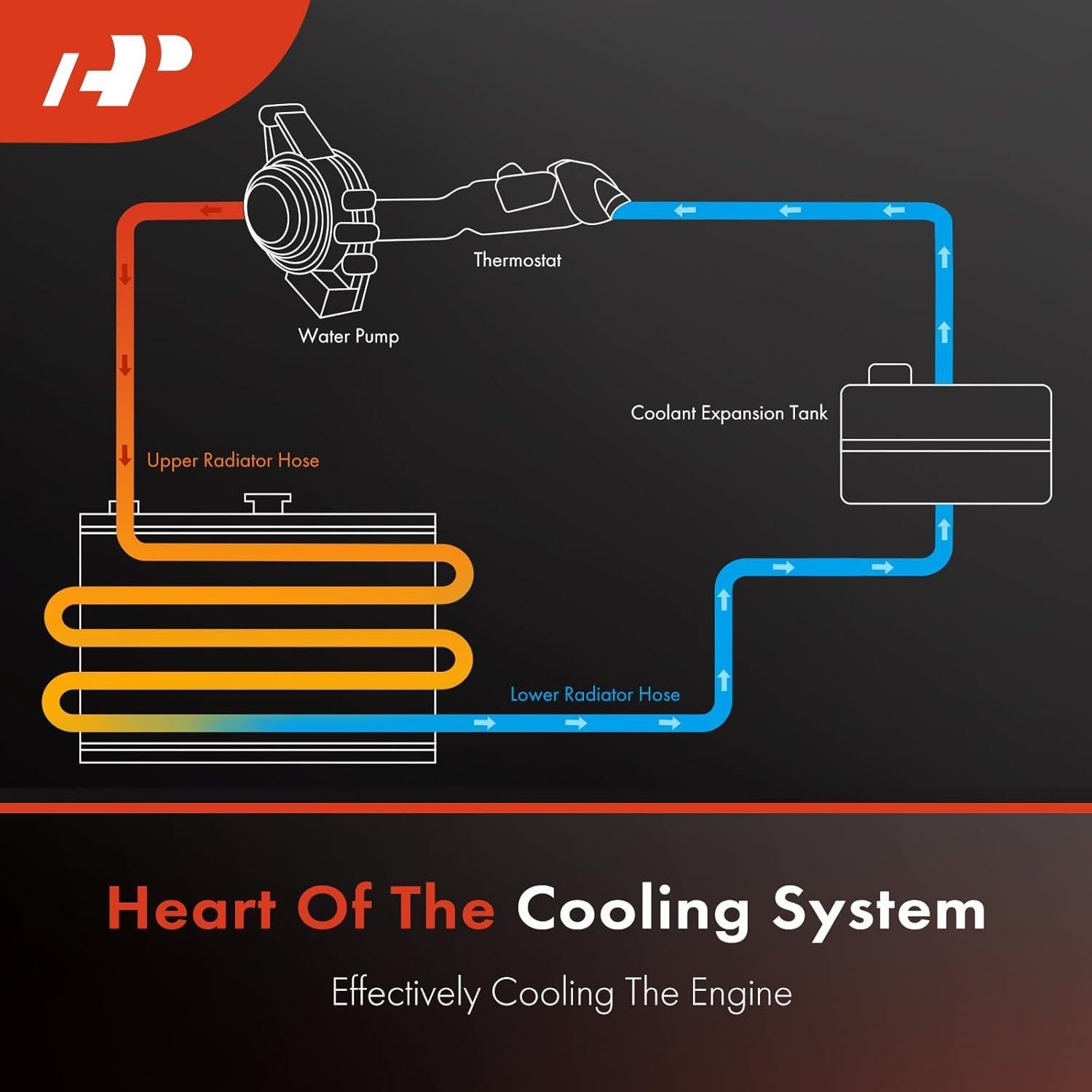 Manguera de Refrigerante Radiador Inferior Izquierda A-Premium BMW E83