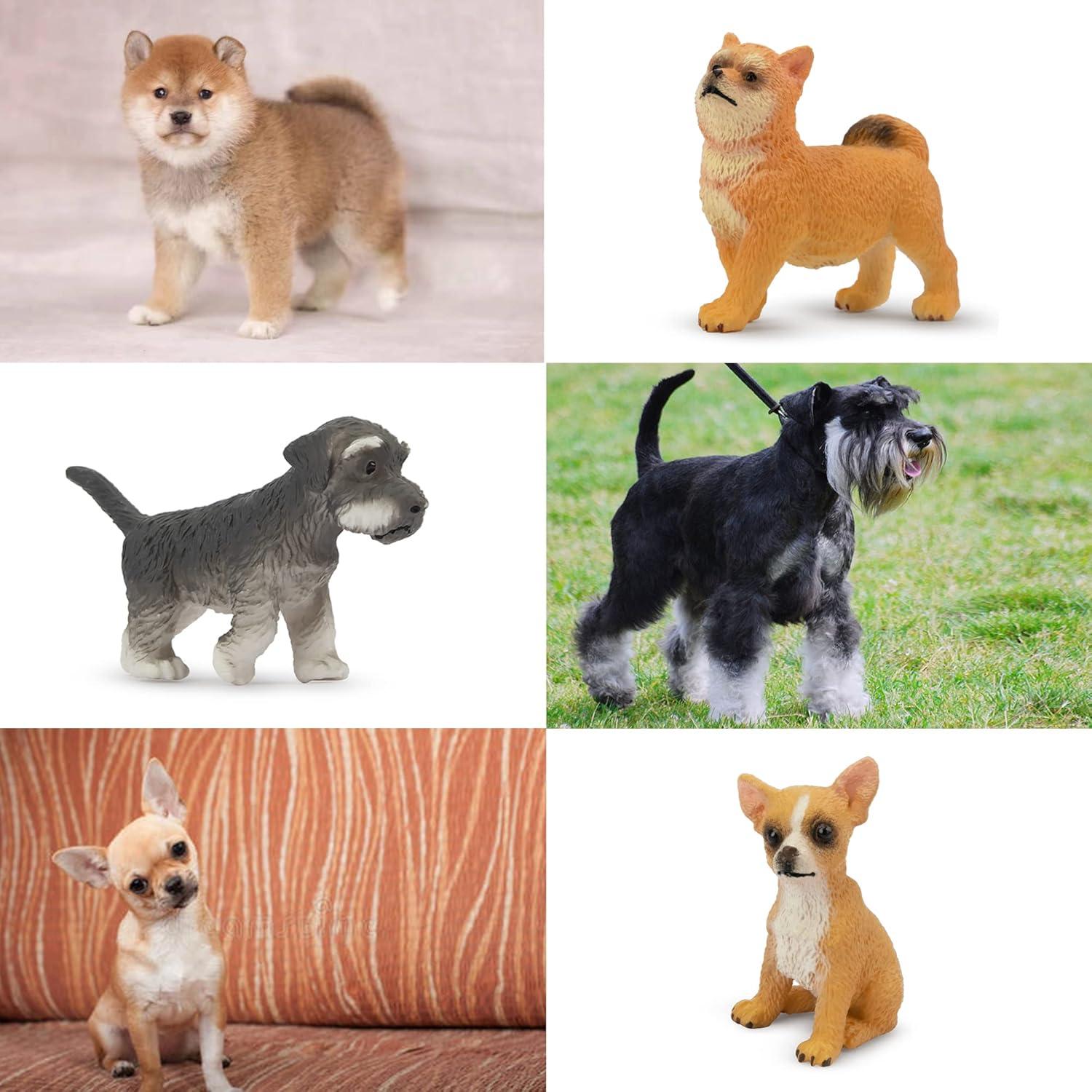 Set de 12 Figuras de Perros Toymany - Juguetes Educativos