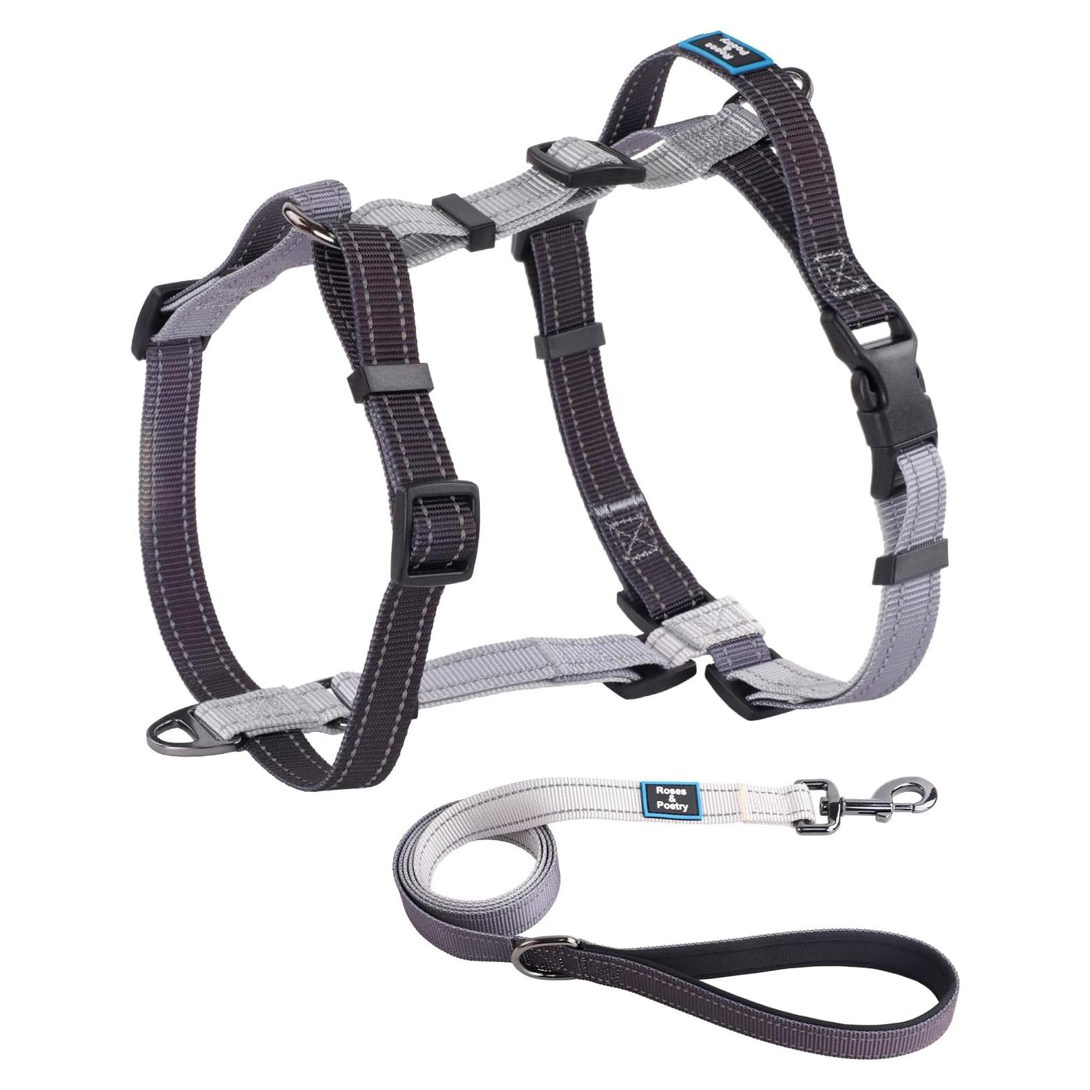 Arnés y Correa para Perro Hanwei S Ajustable Reflectante