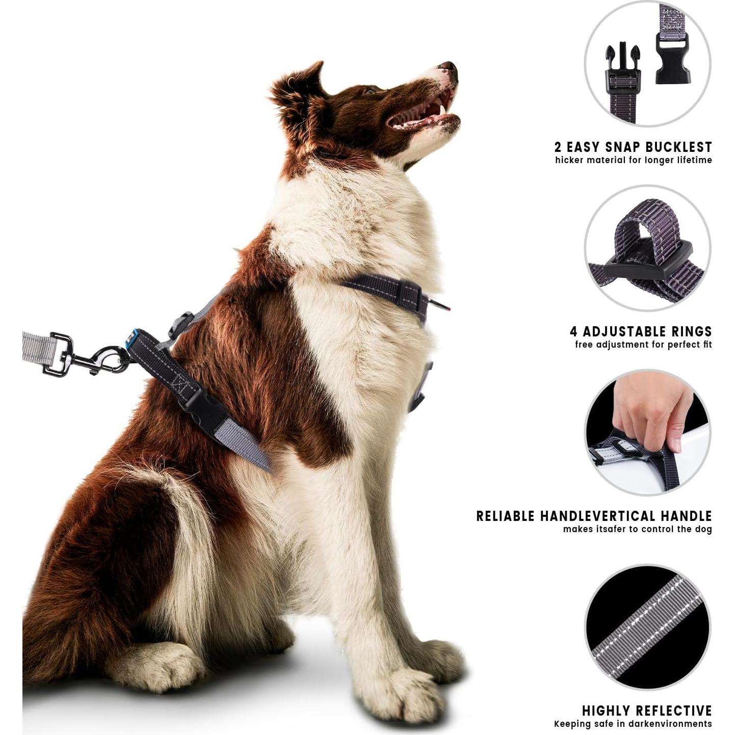 Arnés y Correa para Perro Hanwei S Ajustable Reflectante