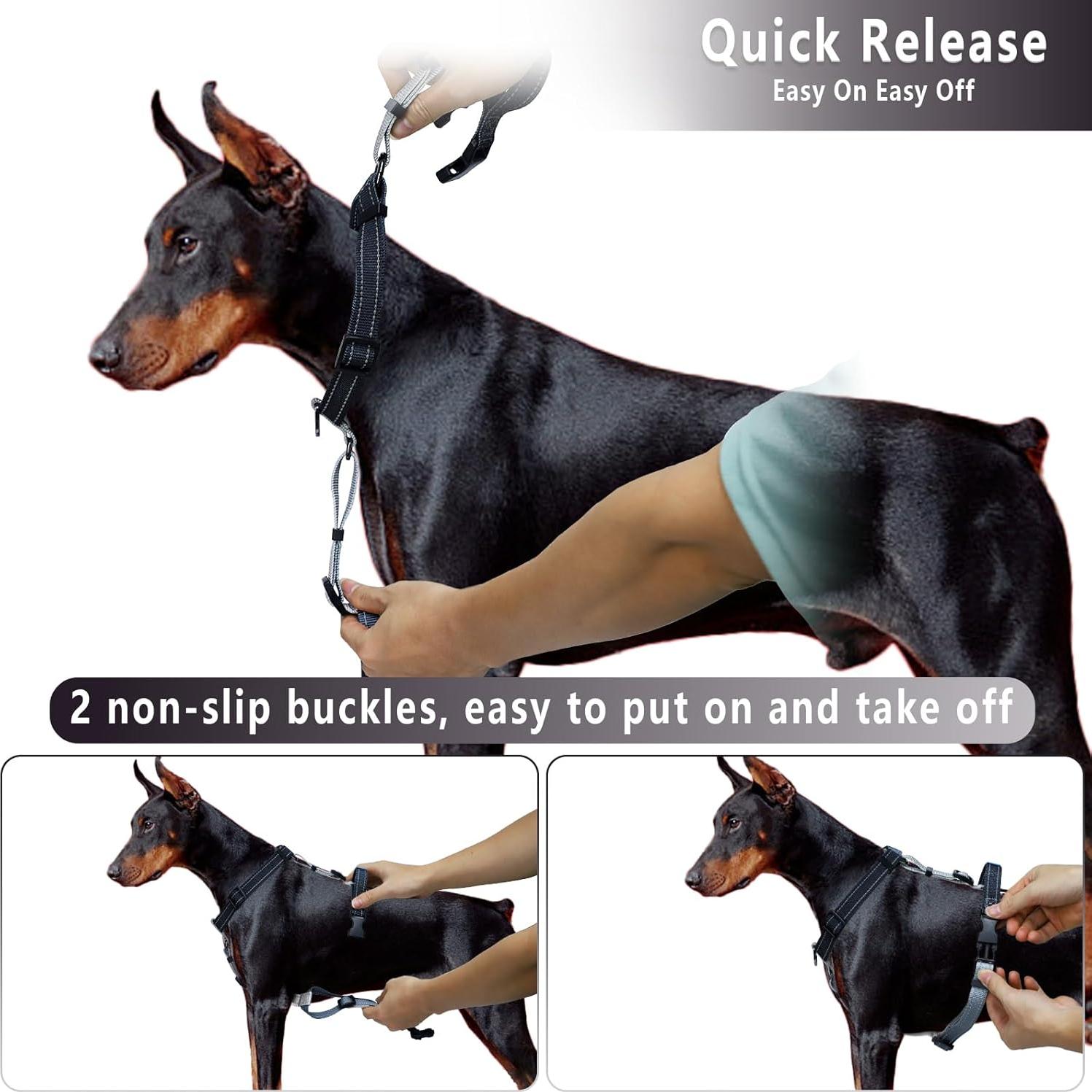 Arnés y Correa para Perro Hanwei S Ajustable Reflectante