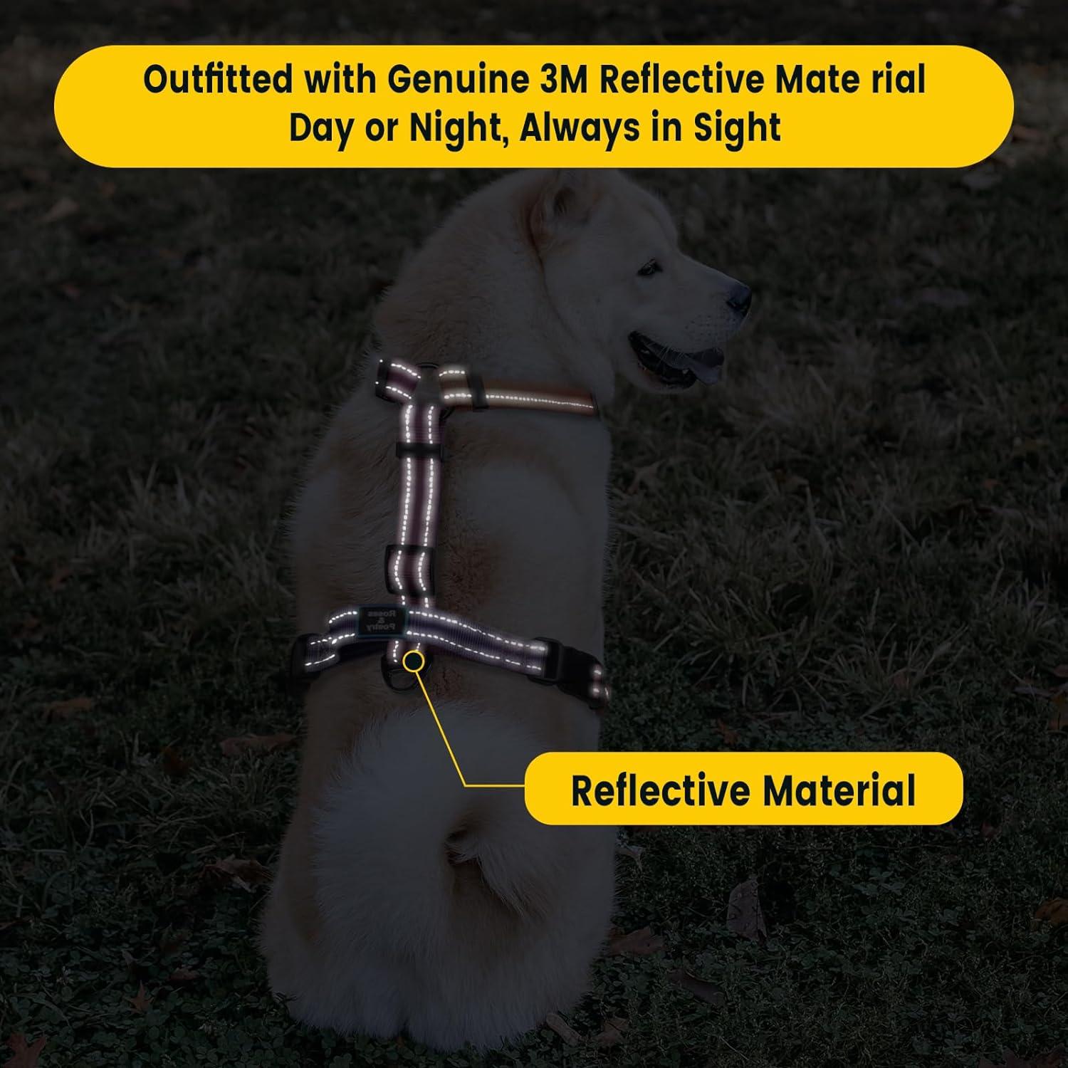 Arnés y Correa para Perro Hanwei S Ajustable Reflectante