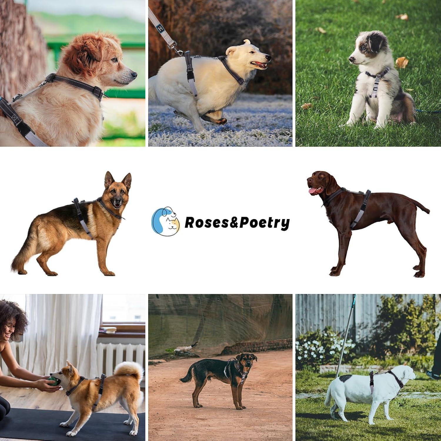 Arnés y Correa para Perro Hanwei S Ajustable Reflectante