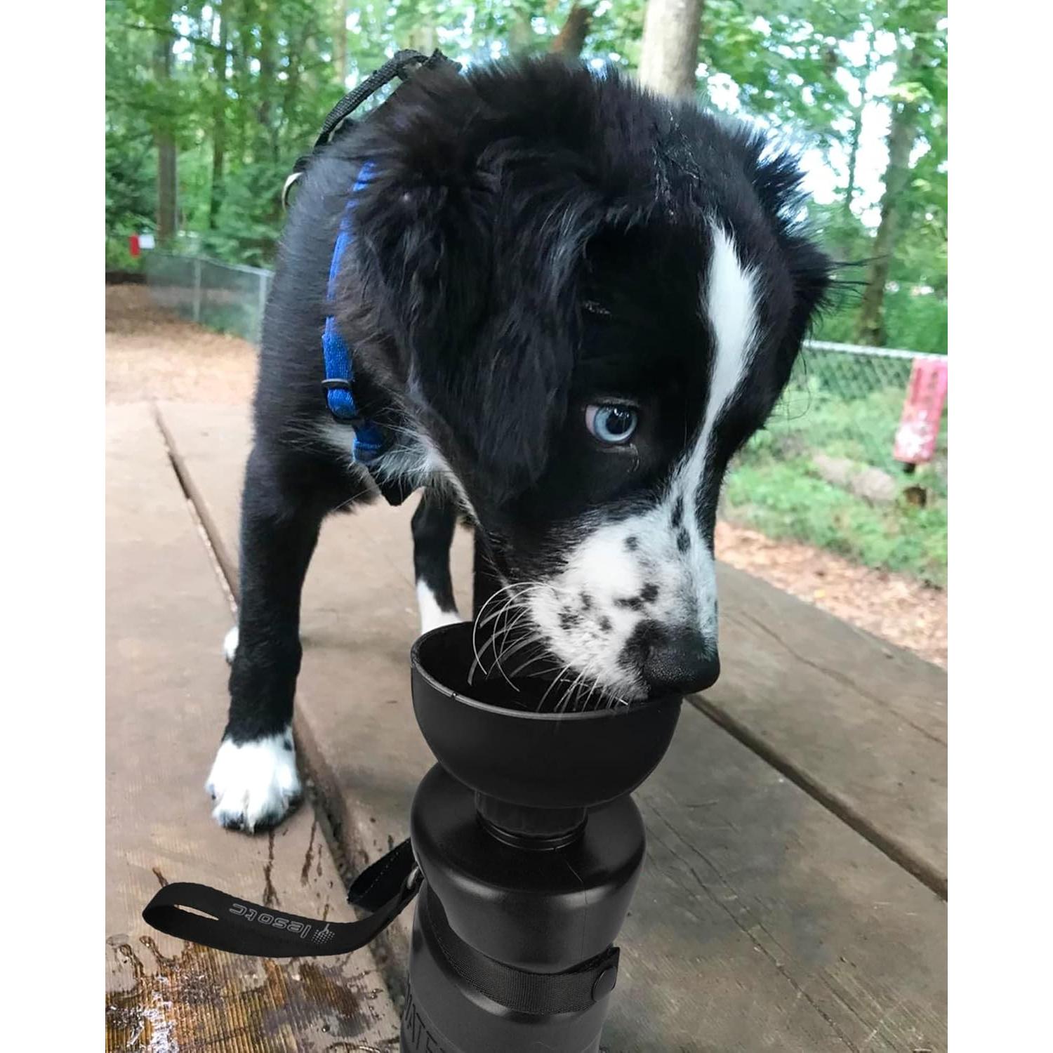 Botella de Agua para Perros Lesotc 520ml a Prueba de Fugas