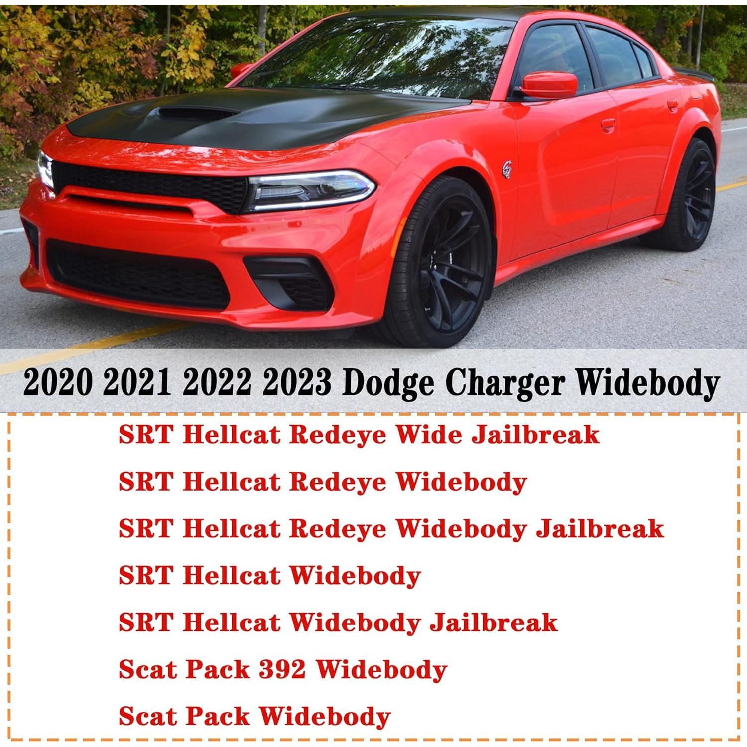 Divisor de Labio Frontal NEESPOC para Dodge Charger SRT Hellcat 2020-2023