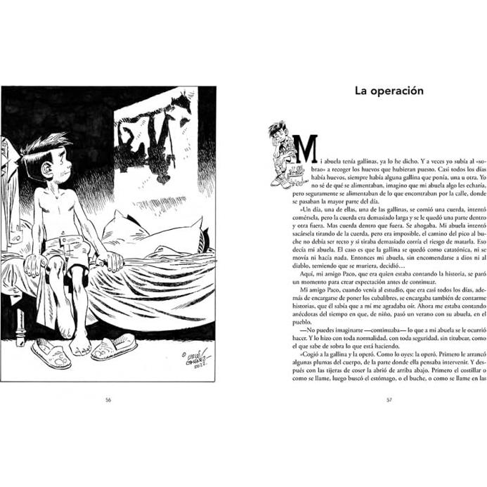 El libro del señor Marcos