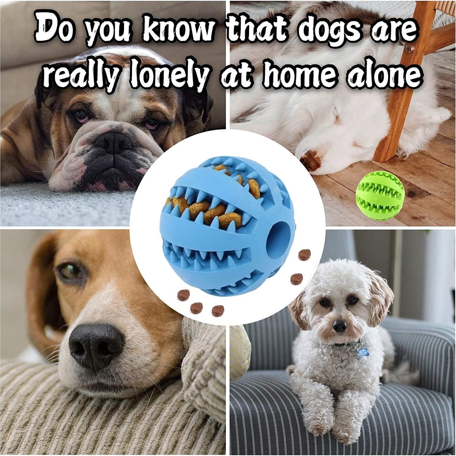 Pelota de Juguete para Perros Hangzhou 2 Unidades Verde y Azul