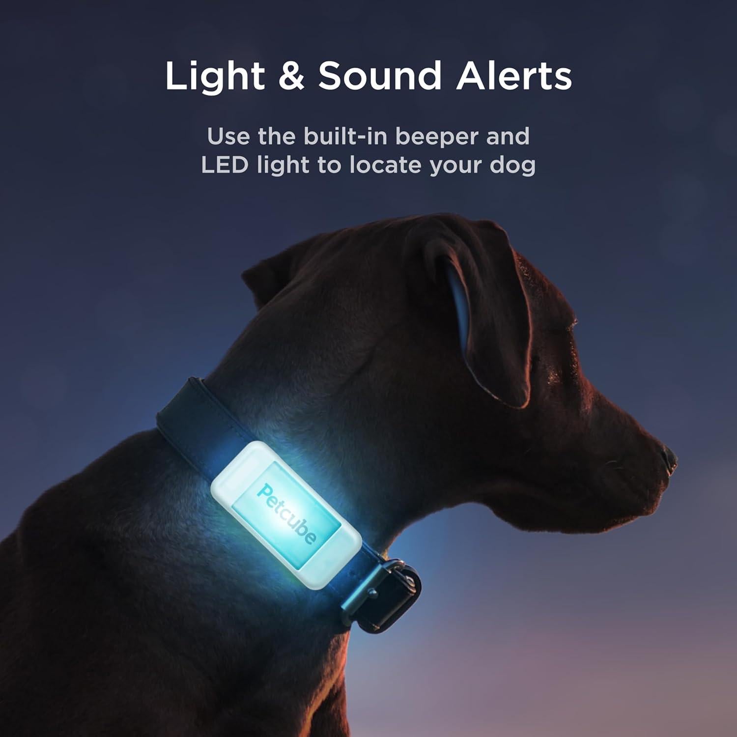 Rastreador GPS Petcube para perros - Monitoreo 24/7, Impermeable