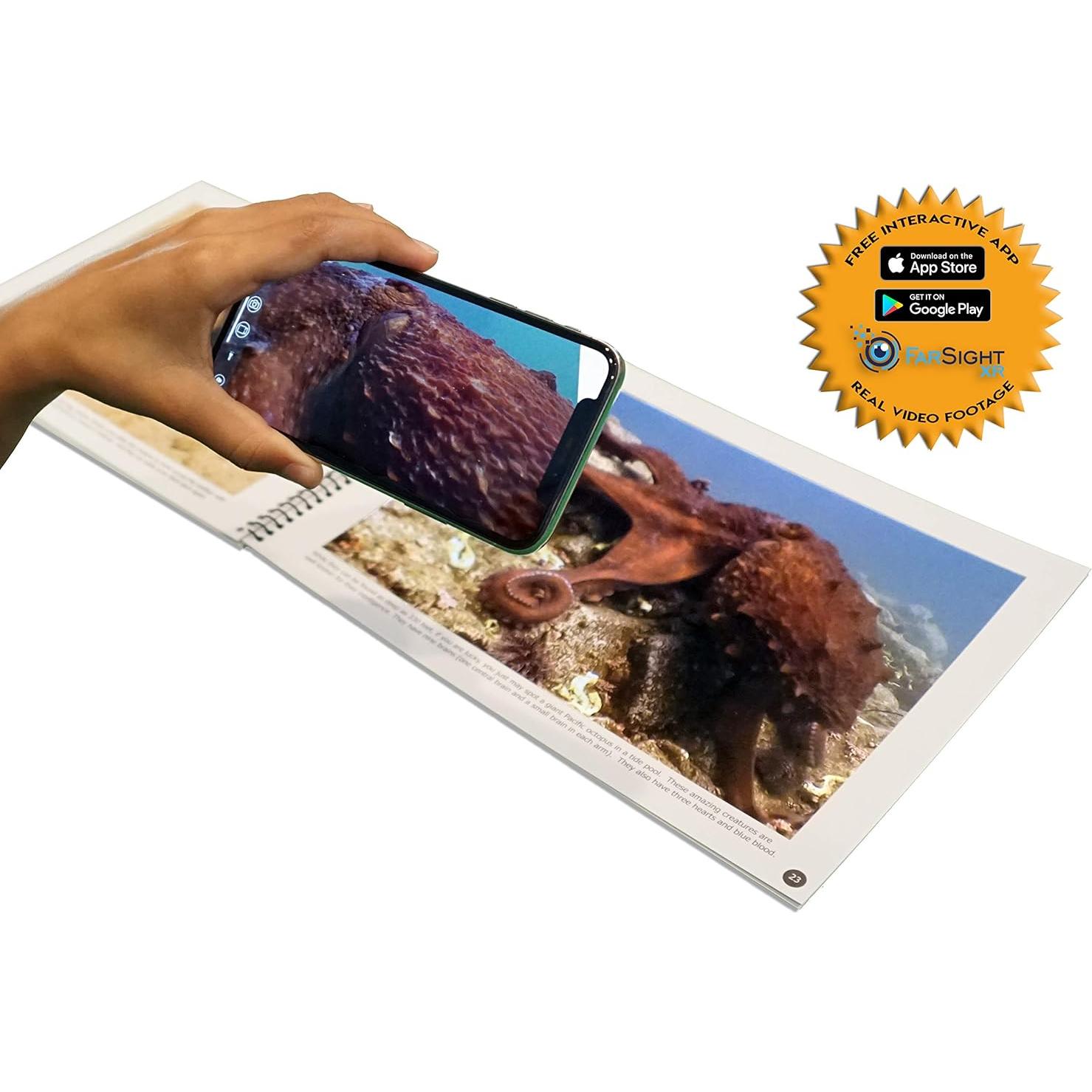 Tide Pools: An Augmented Reality Book