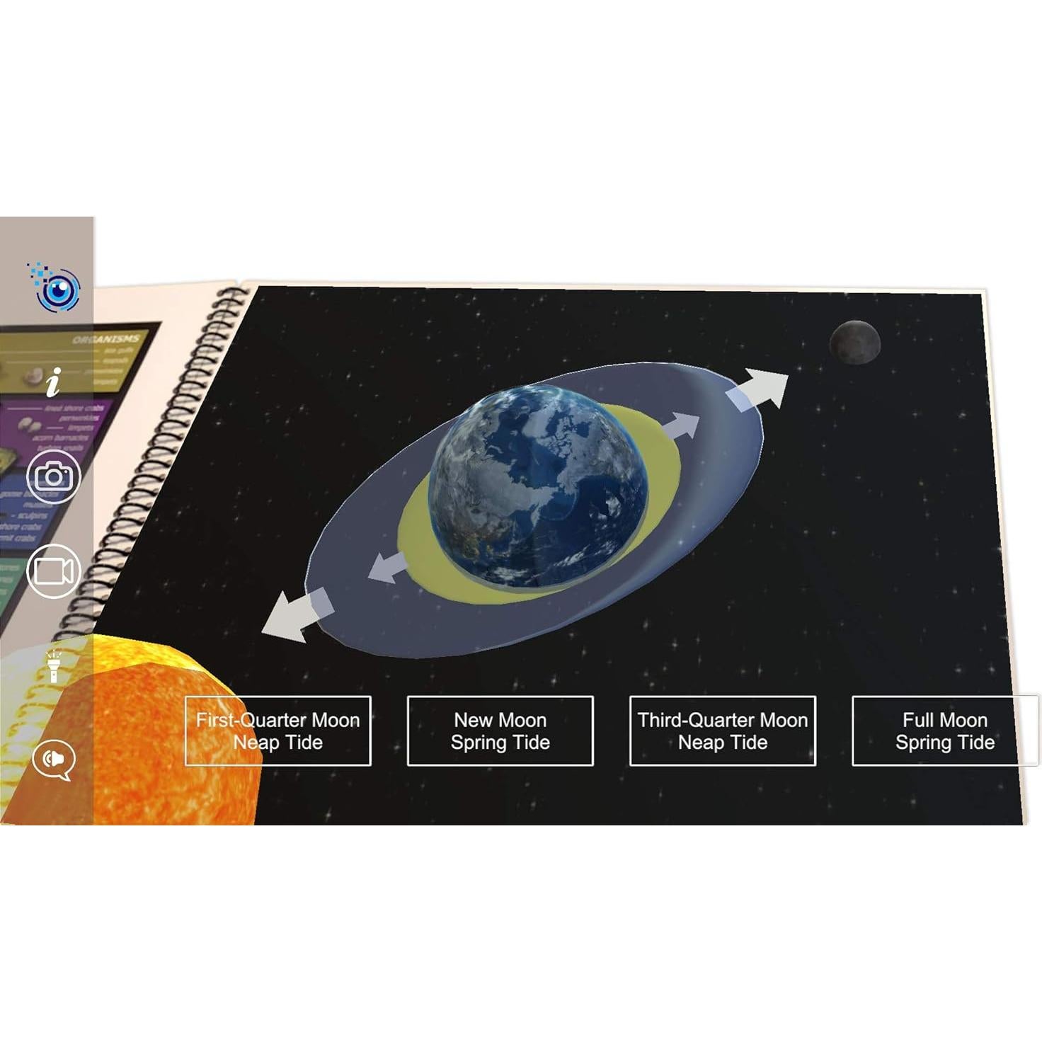 Tide Pools: An Augmented Reality Book