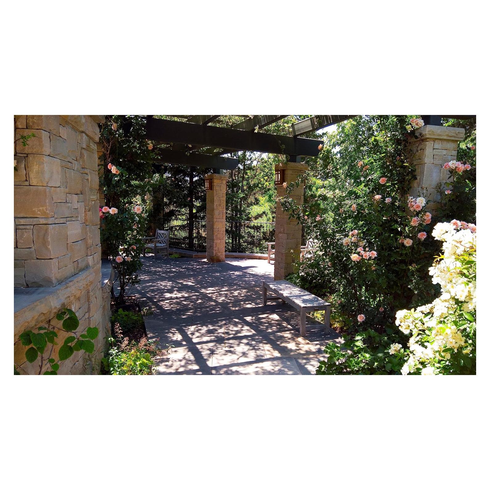 Libro Paisajismo Práctico - Guía de Referencia en Español