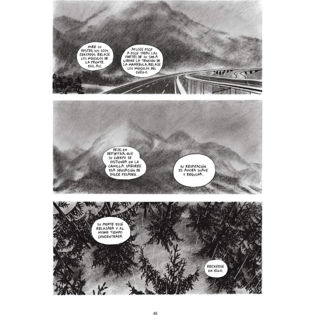 La entrevista bolsillo (SG)