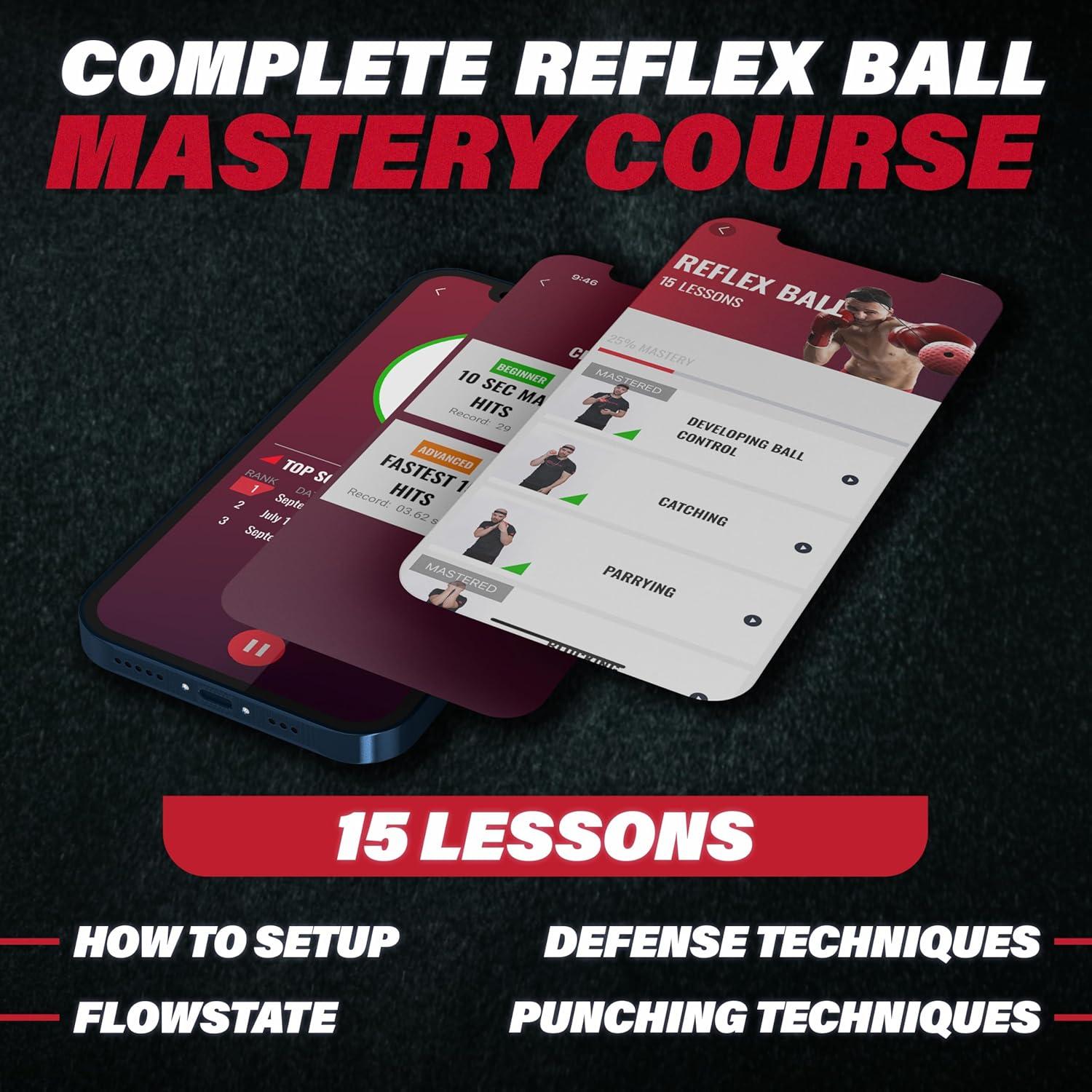 Juego de Pelotas de Boxeo Champs MMA - 4 Pelotas y App