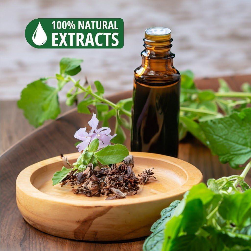 Dhoop de Canela 100% Natural Bendición Internacional - 20 Palos