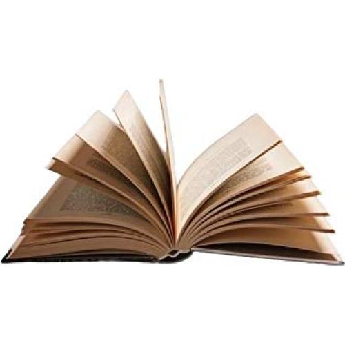 Descubriendo el cerebro: Neurociencia para chicos (y grandes) (Spanish Edition)