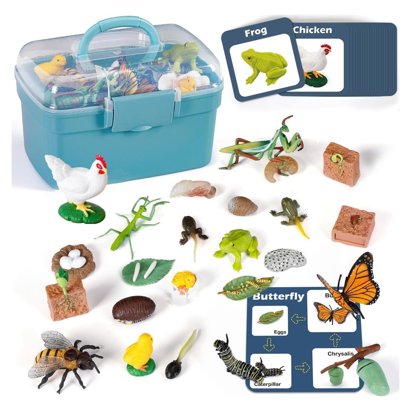 Kit de Ciencias del Ciclo de Vida - 25 Piezas Educativas