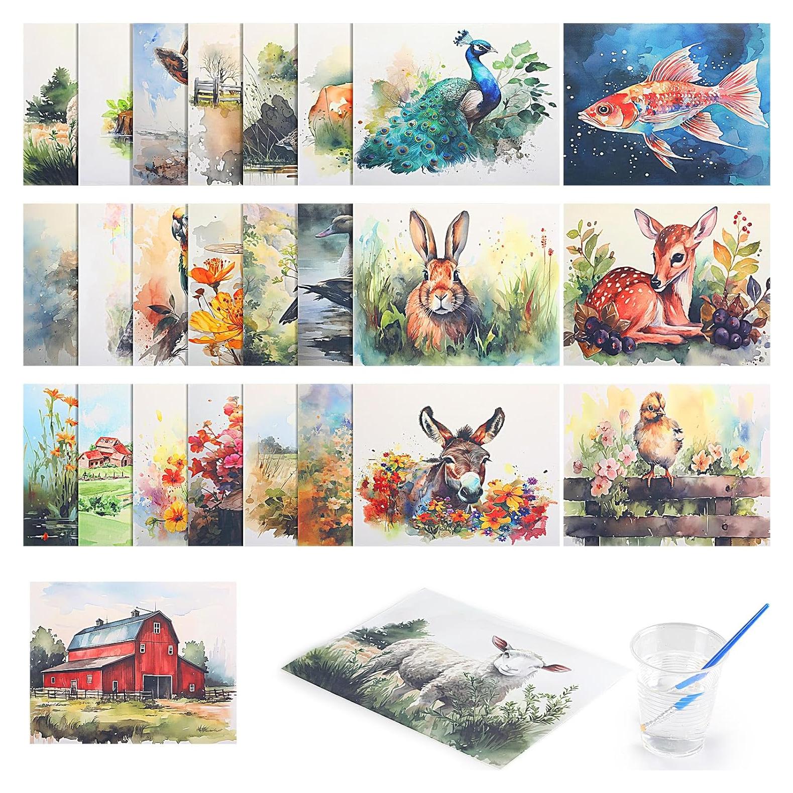 Set de Pintura de Agua Dinifee para Ancianos 75 Pcs Animales