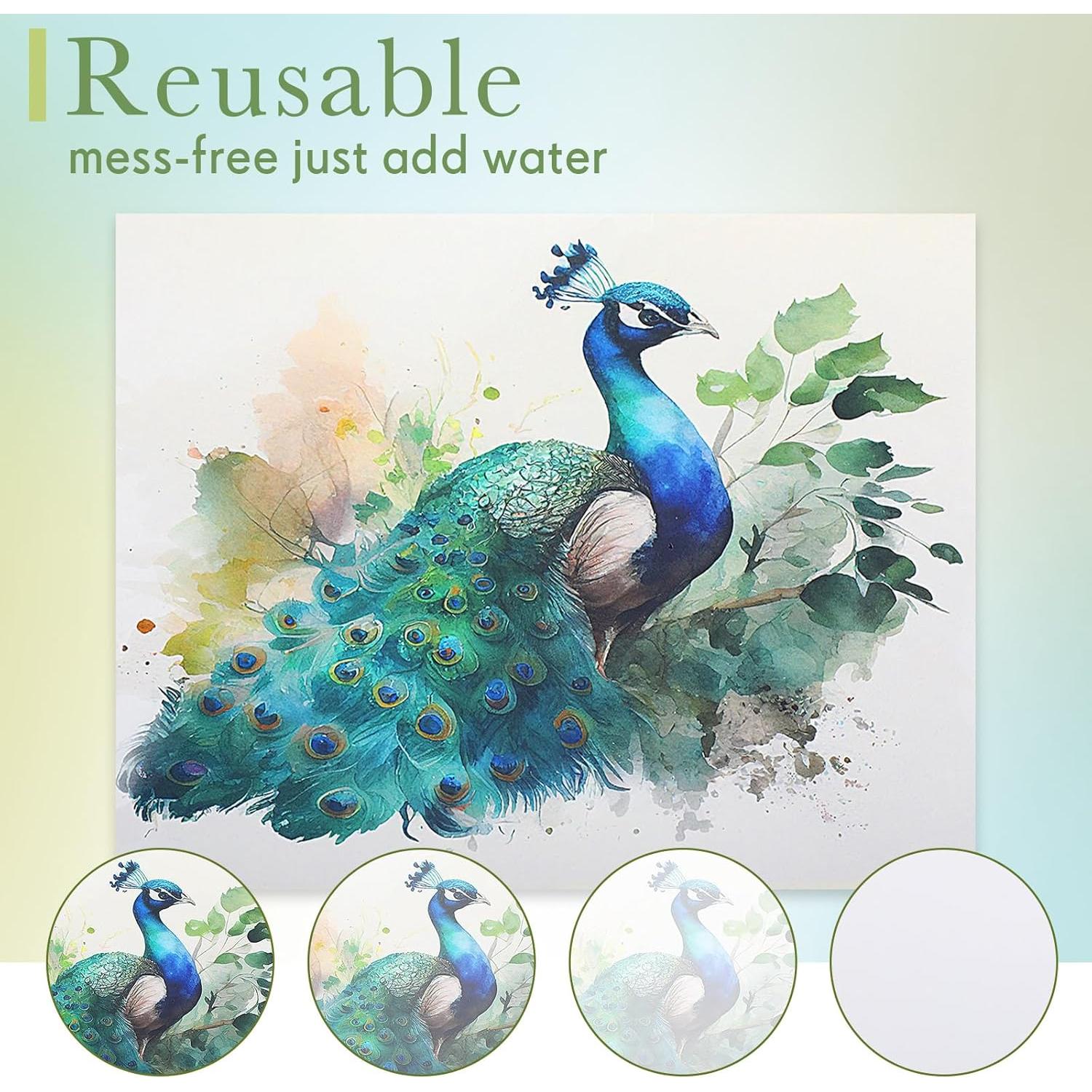 Set de Pintura de Agua Dinifee para Ancianos 75 Pcs Animales