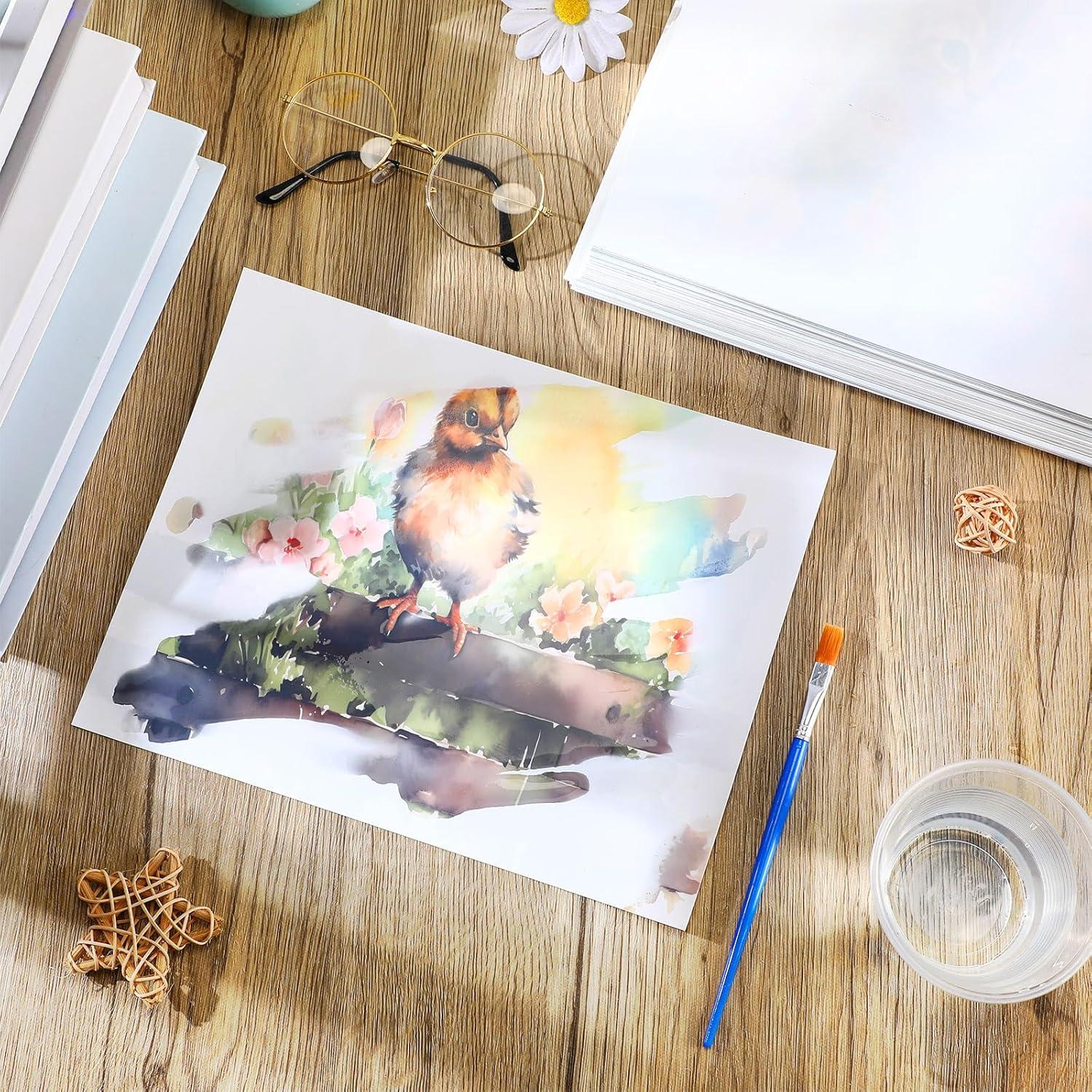 Set de Pintura de Agua Dinifee para Ancianos 75 Pcs Animales