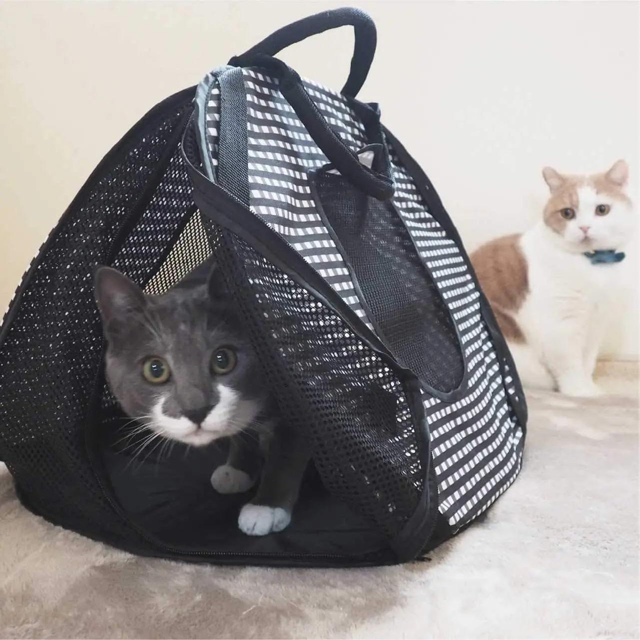 Transportín para Gatos Necoichi Plegable Gris y Blanco