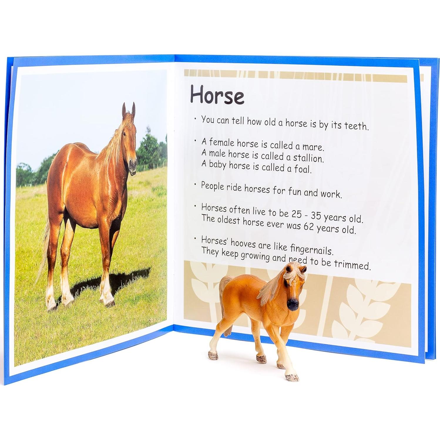 Figuras de Animales de Granja Etapas - 4 Piezas + Libro