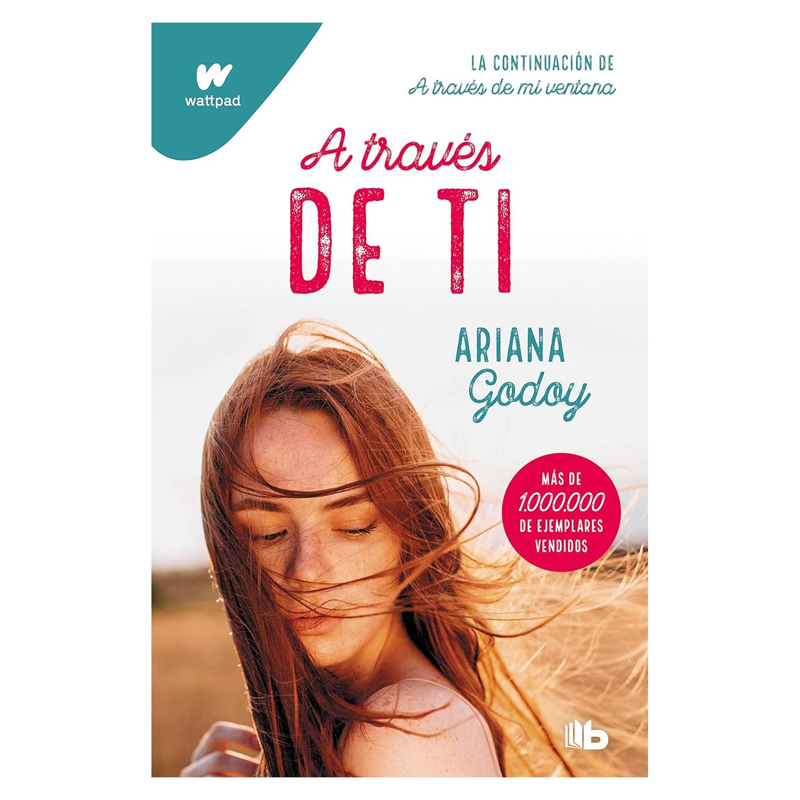 A través de ti (edición revisada por la autora) (Trilogía Hermanos Hidalgo 2)