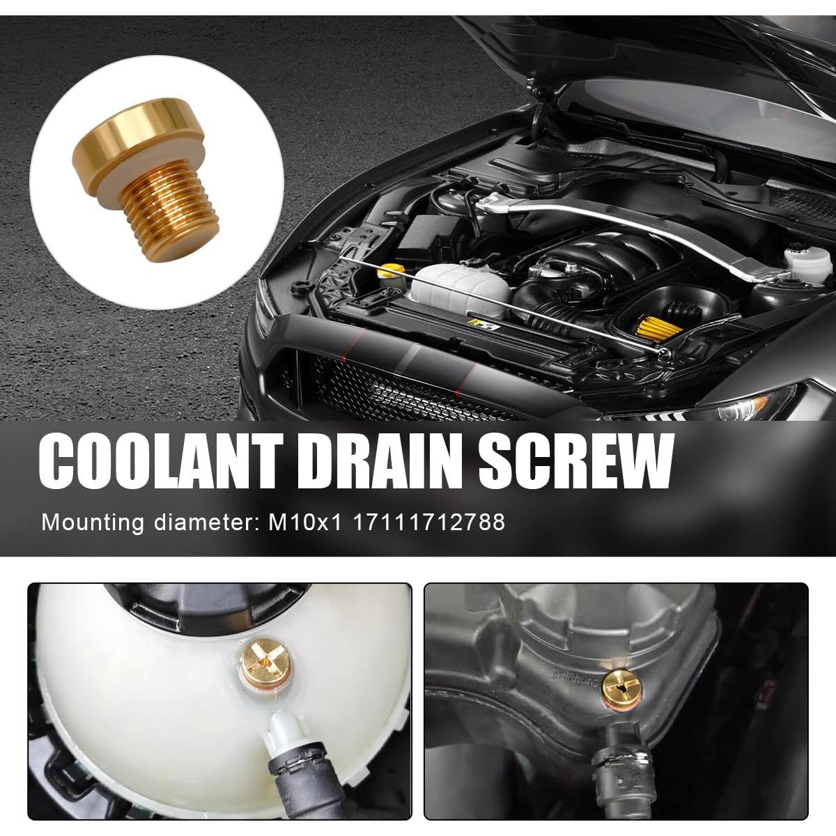 Tornillo de purga Gasedin para tanque de refrigerante 17111712788